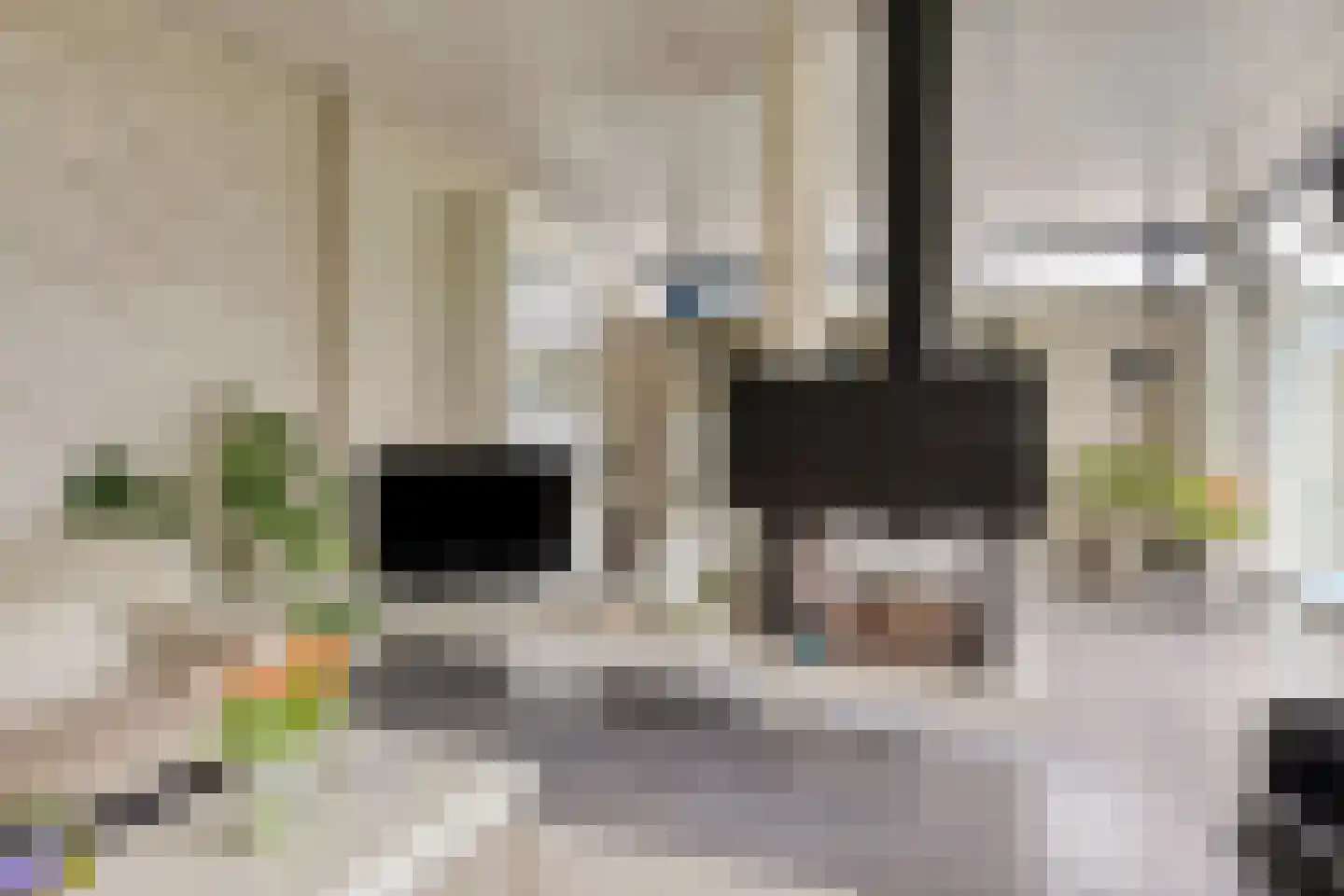 van Heijstlaan 23 Honselersdijk thumbnail 17