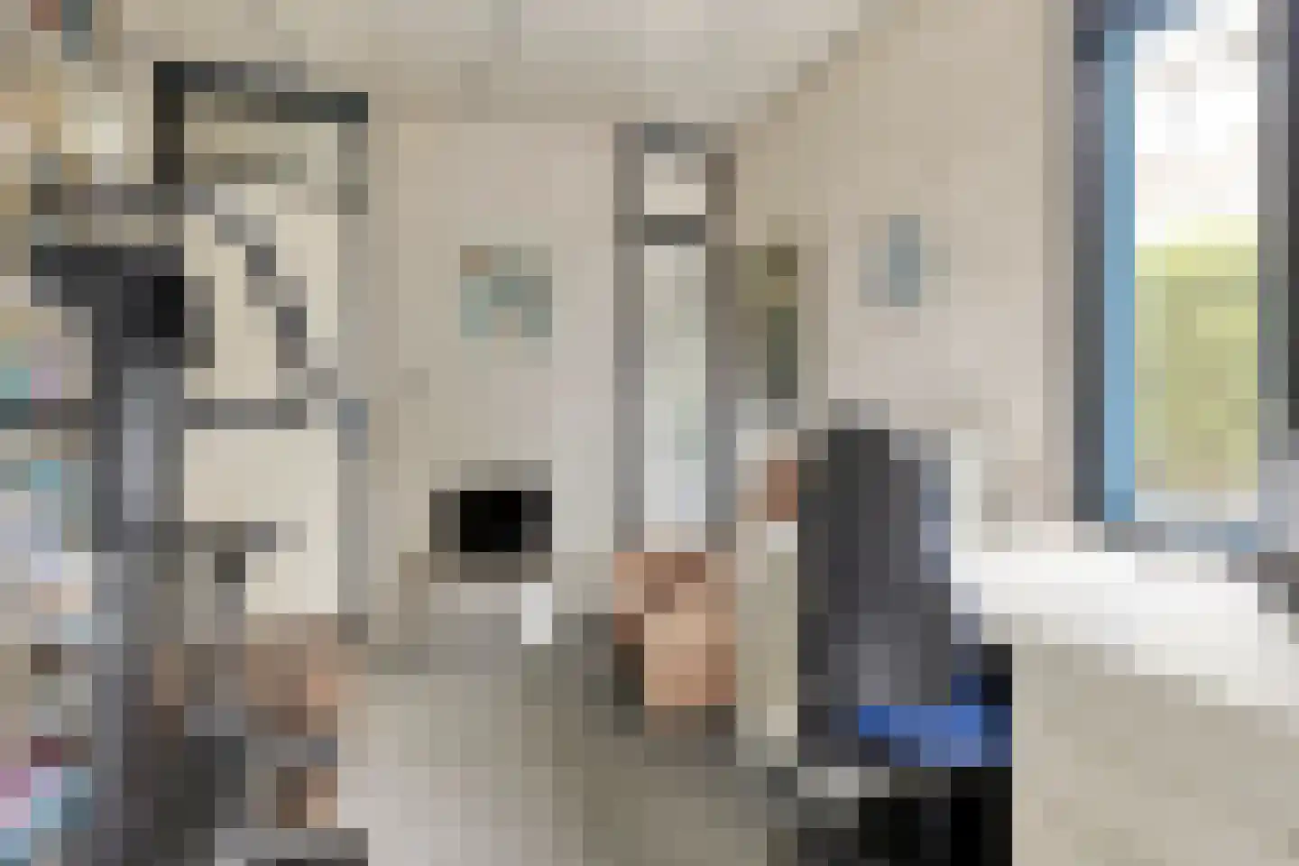 van Heijstlaan 23 Honselersdijk thumbnail 20