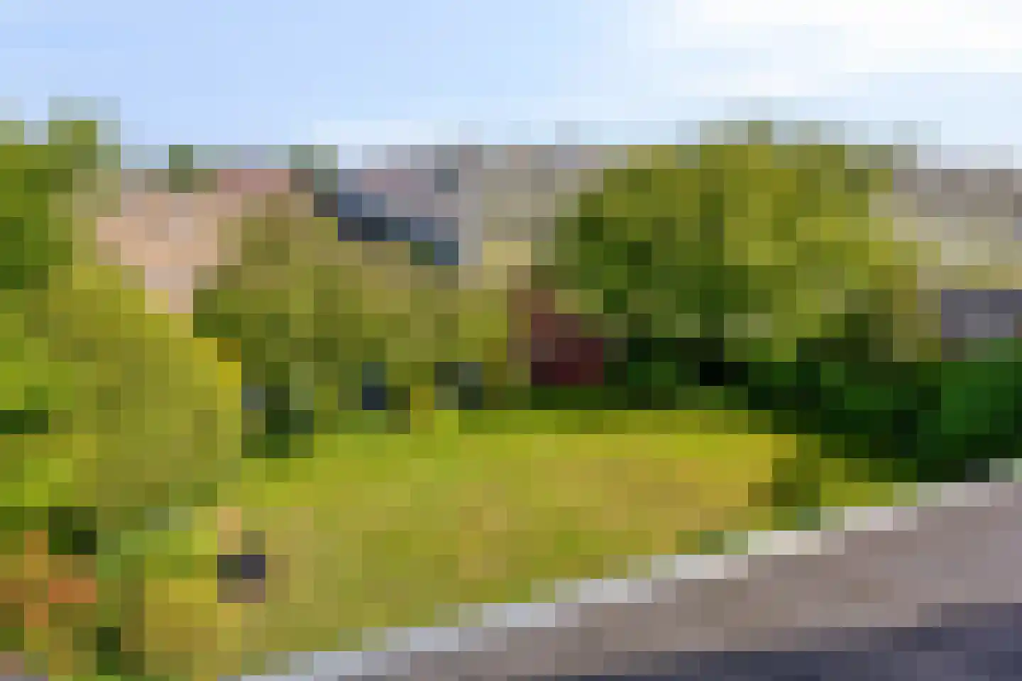 van Heijstlaan 23 Honselersdijk thumbnail 32