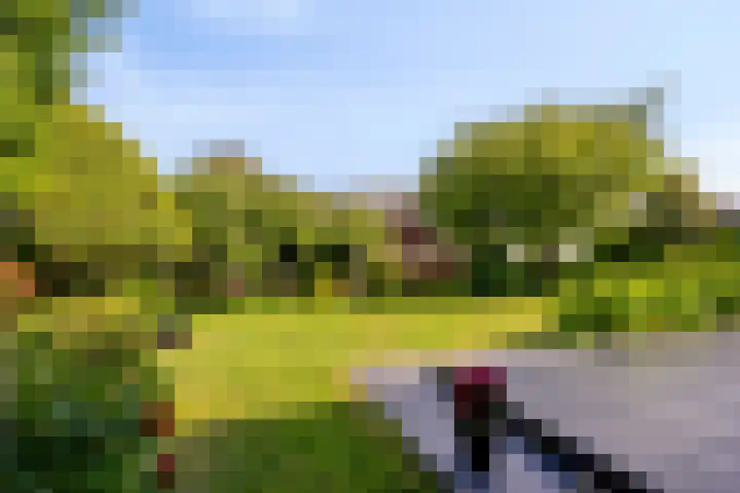 van Heijstlaan 23 Honselersdijk thumbnail 33