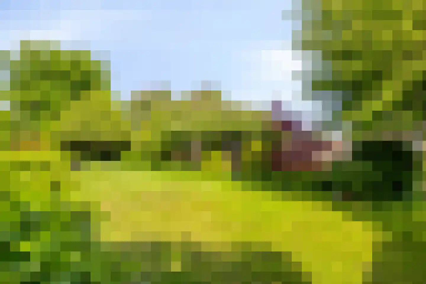 van Heijstlaan 23 Honselersdijk thumbnail 36