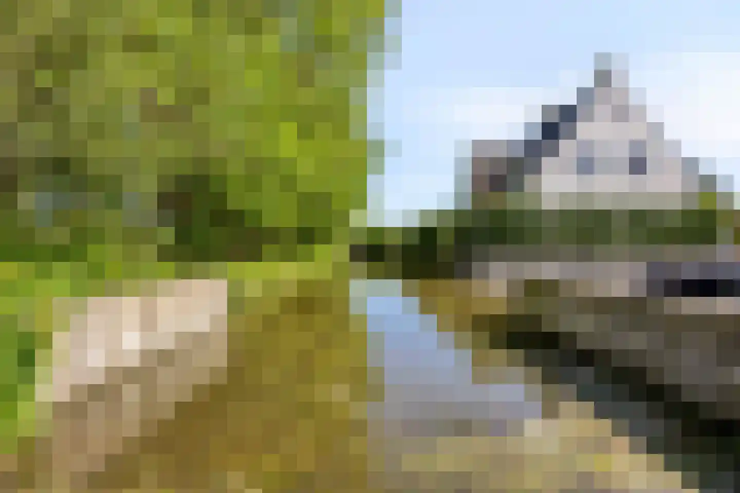 van Heijstlaan 23 Honselersdijk thumbnail 44