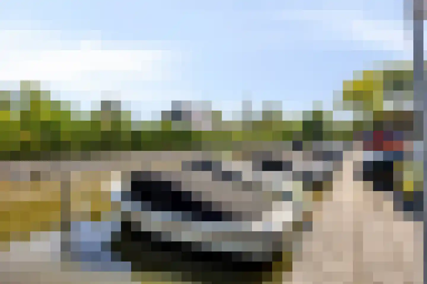 van Heijstlaan 23 Honselersdijk thumbnail 45