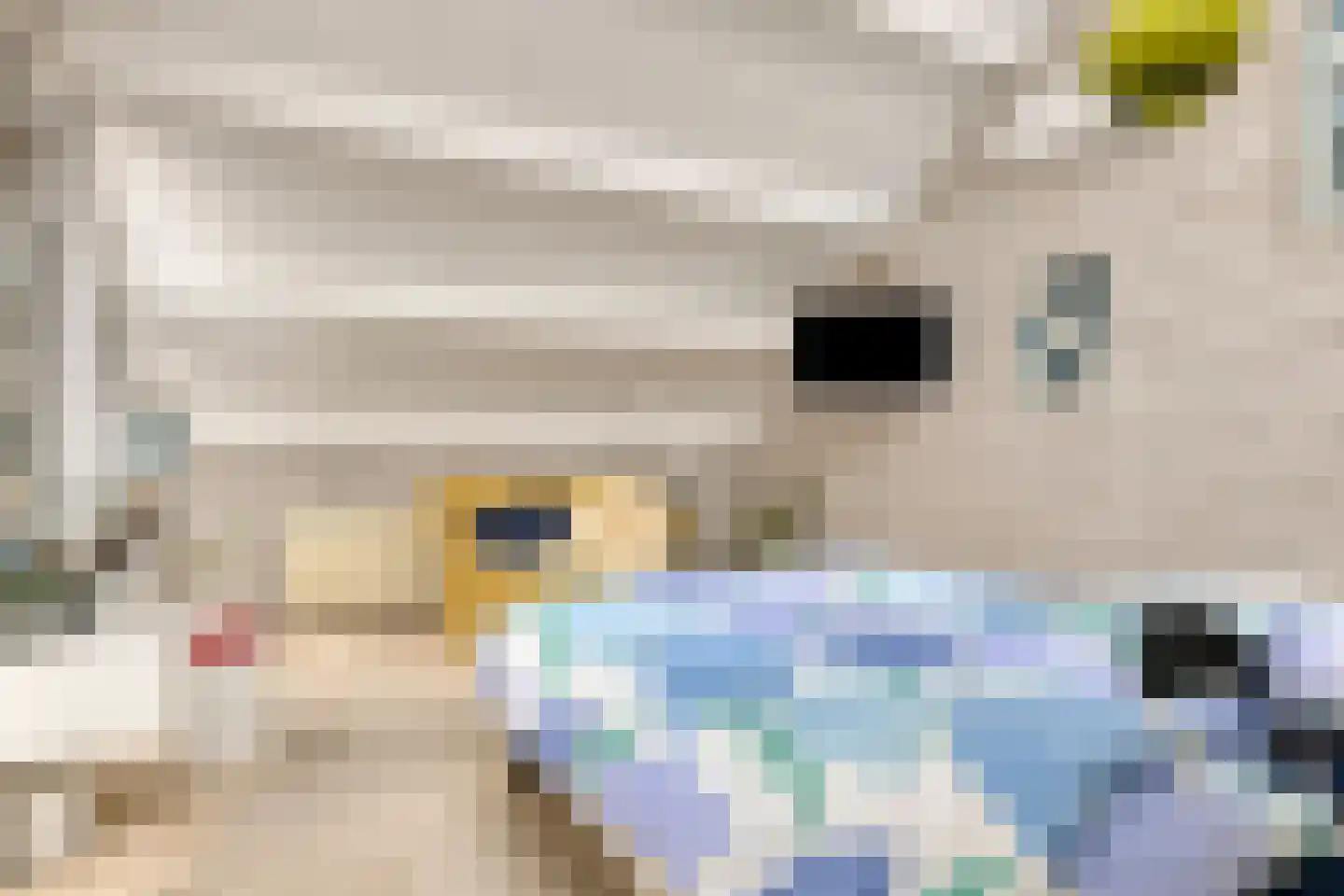 van Heijstlaan 23 Honselersdijk thumbnail 5