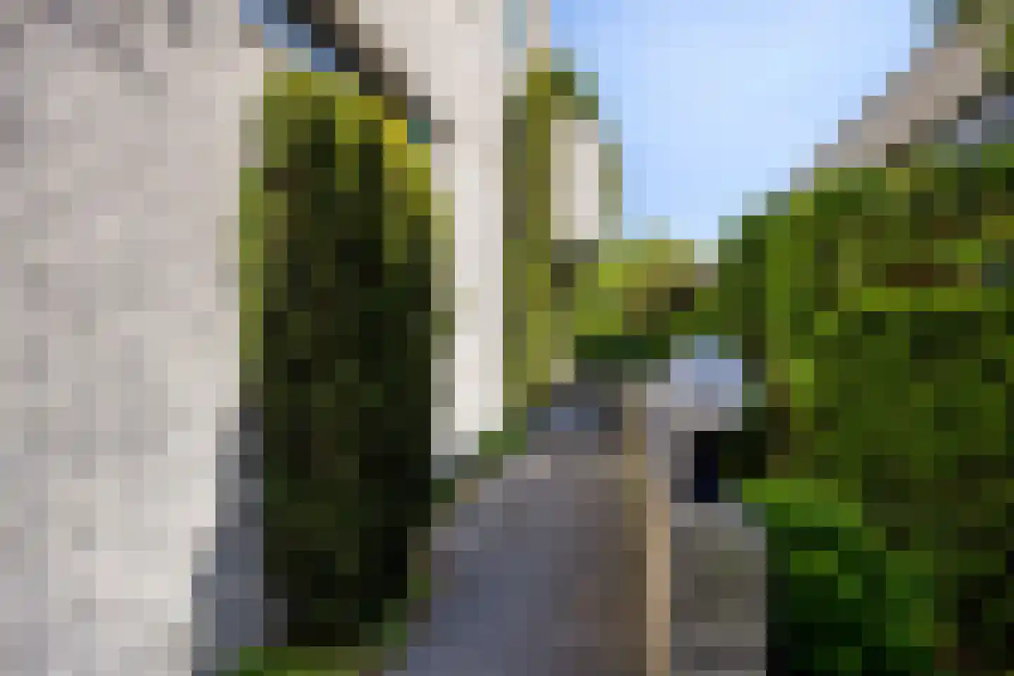 van Heijstlaan 23 Honselersdijk thumbnail 8