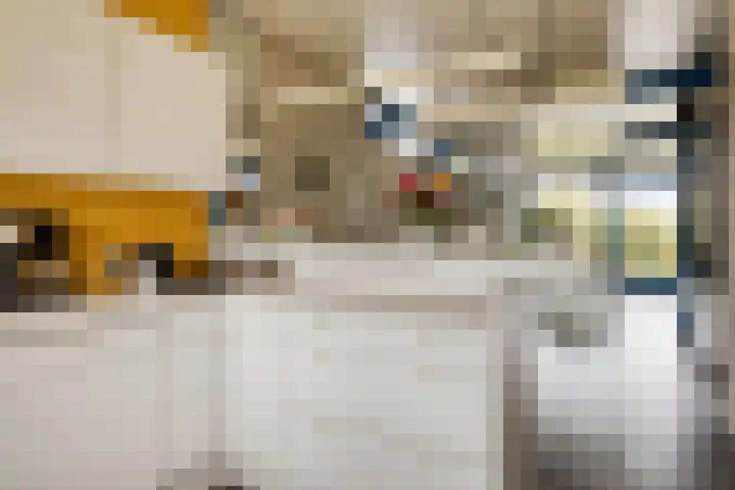 van Heijstlaan 23 Honselersdijk thumbnail 9