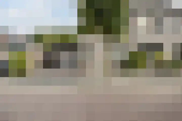 van Heinsbergstraat 18 Gilze thumbnail 41