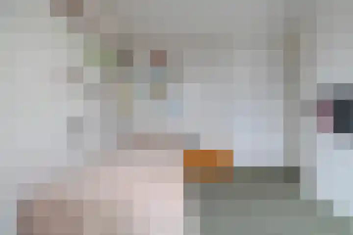 van Heinsbergstraat 37 Gilze thumbnail 31