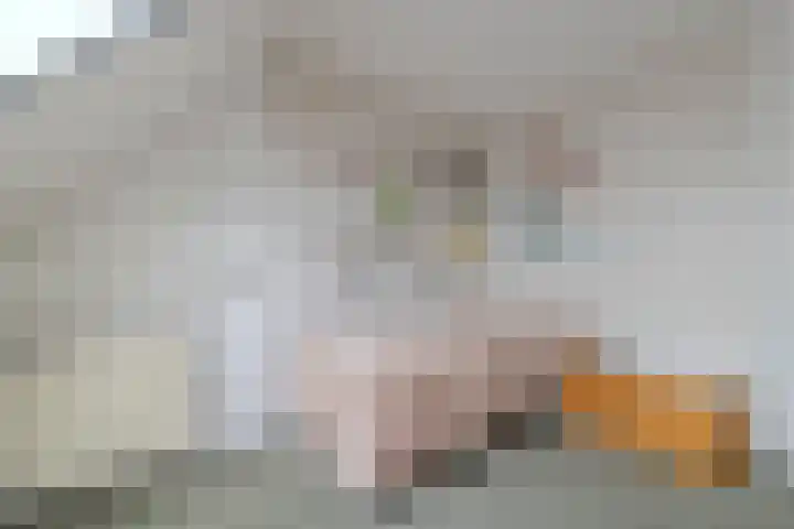 van Heinsbergstraat 37 Gilze thumbnail 32