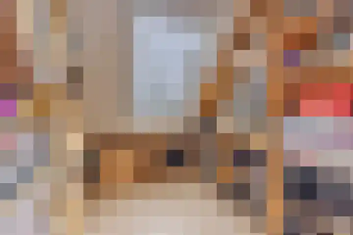van Heinsbergstraat 37 Gilze thumbnail 36