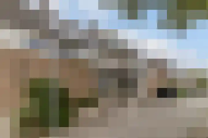 van Heinsbergstraat 37 Gilze thumbnail 52