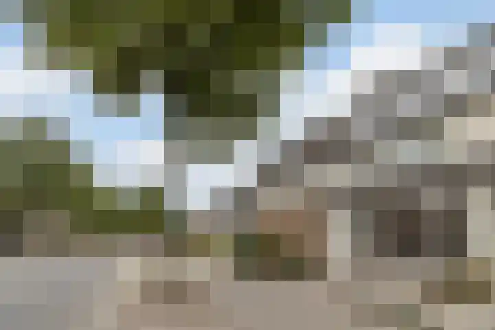 van Heinsbergstraat 37 Gilze thumbnail 56