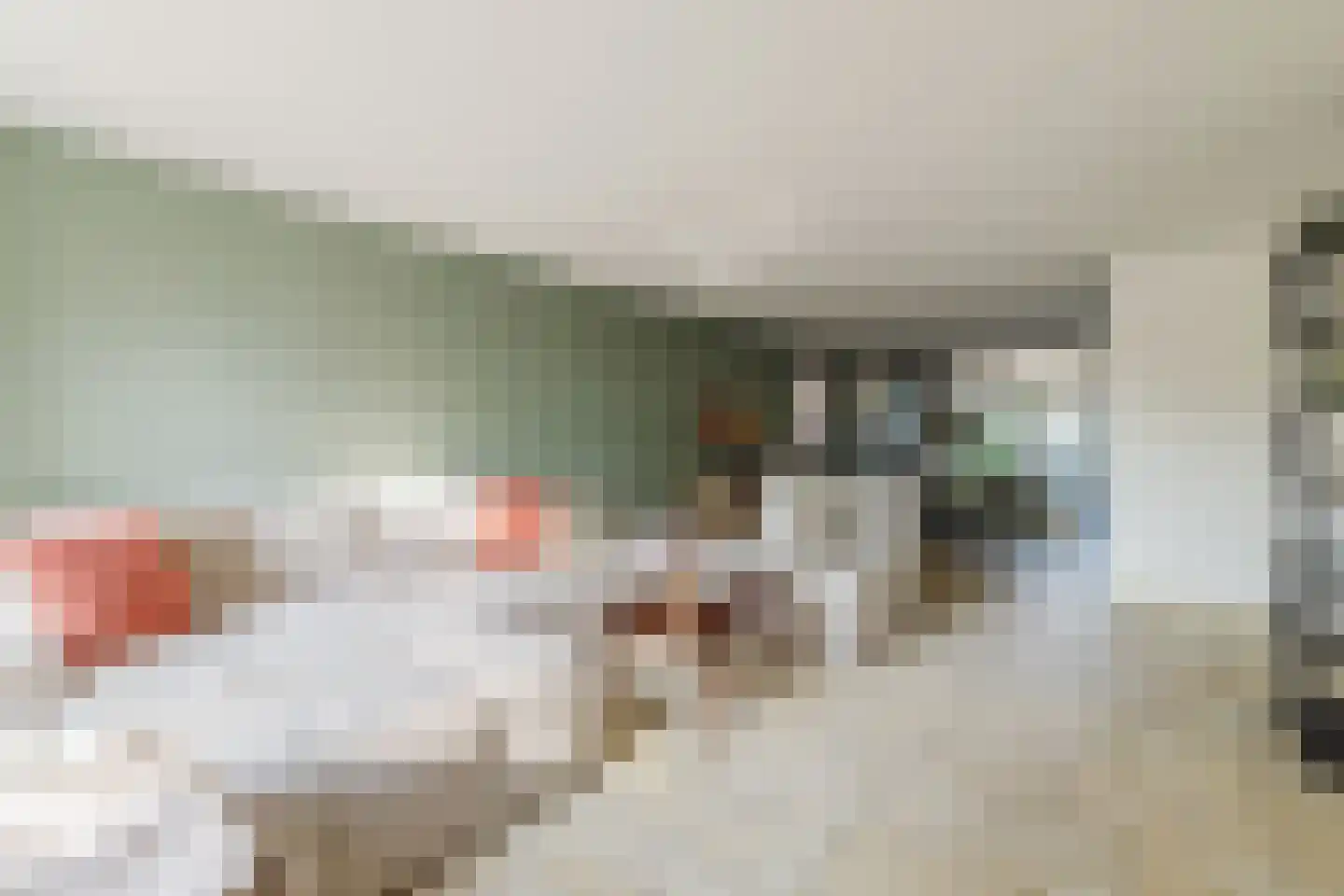 van Heinsbergstraat 39 Gilze thumbnail 7