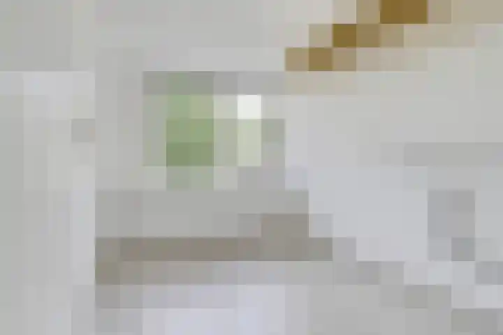 van Heinsbergstraat 61 Gilze thumbnail 23