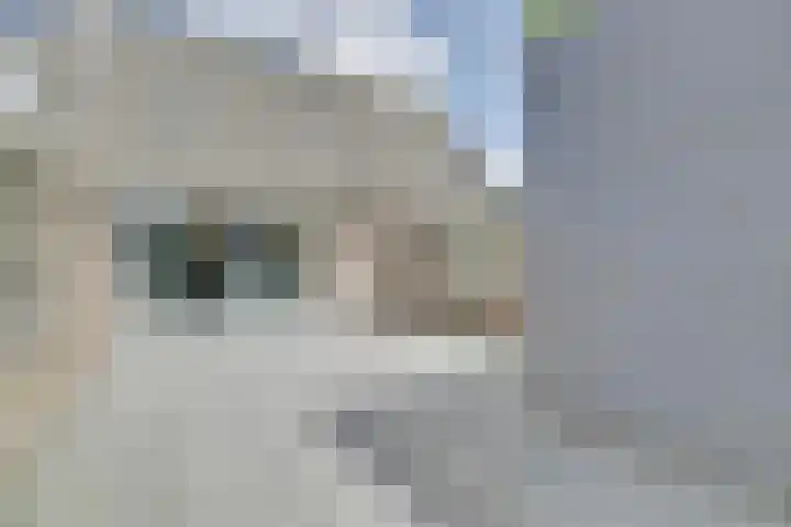 van Heinsbergstraat 61 Gilze thumbnail 6