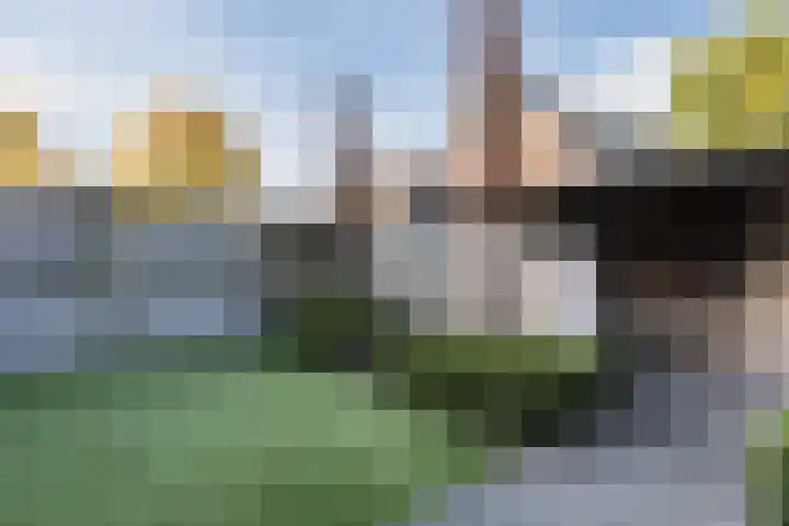 van Heinsbergstraat 83 Gilze thumbnail 25