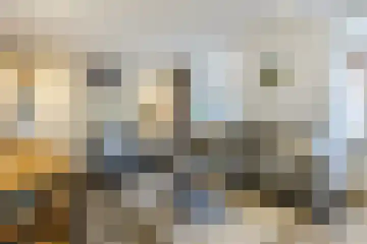 van Heinsbergstraat 83 Gilze thumbnail 6