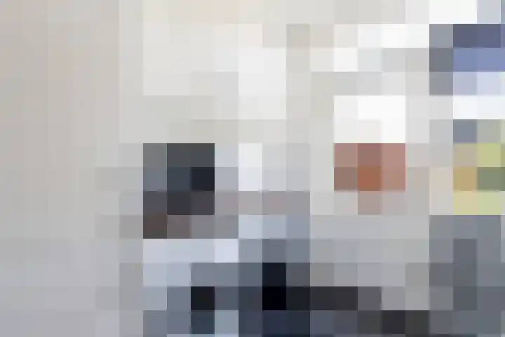 van Heldenstraat 74 Werkendam thumbnail 28