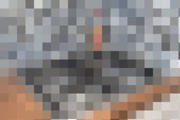 van Heldenstraat 74 Werkendam thumbnail 31