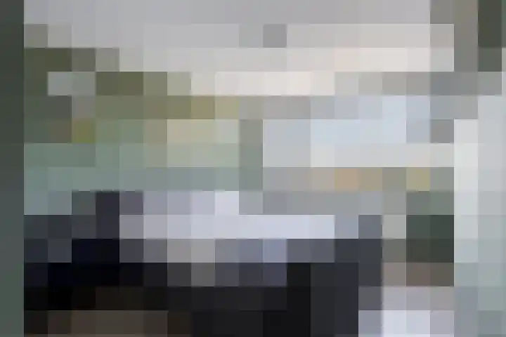 van Heldenstraat 74 Werkendam thumbnail 39