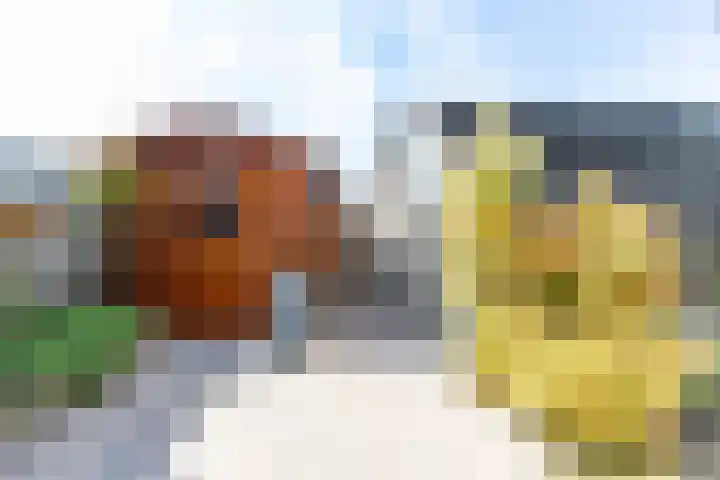van Heldenstraat 74 Werkendam thumbnail 47