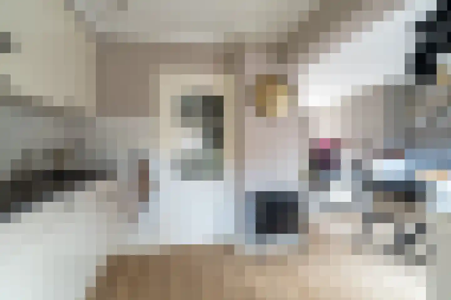 van Heldenstraat 76 Werkendam thumbnail 12
