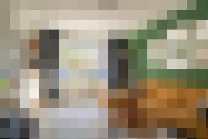 van Heldenstraat 86 Werkendam thumbnail 7