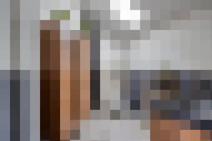 Van Helmontstraat 11 Schijndel thumbnail 21