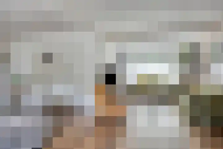 Van Helmontstraat 11 Schijndel thumbnail 8