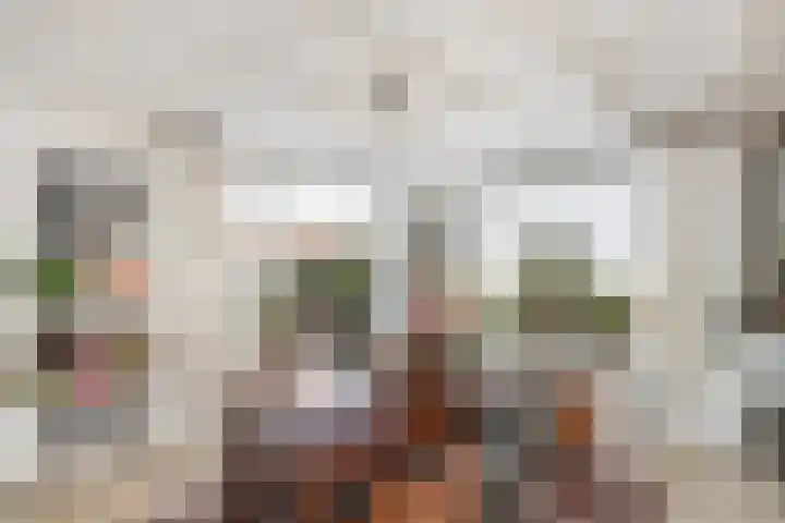 Van Helomalaan 16 Wolvega thumbnail 10