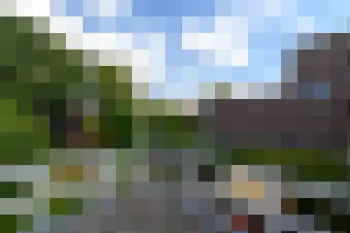 Van Helomalaan 16 Wolvega thumbnail 24