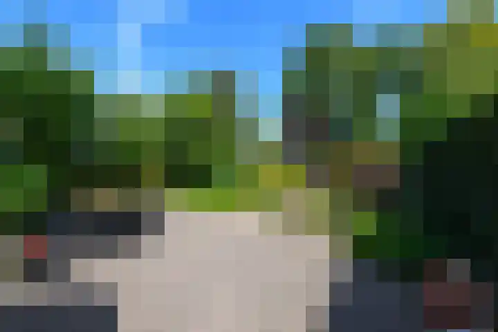 Van Helomalaan 16 Wolvega thumbnail 35