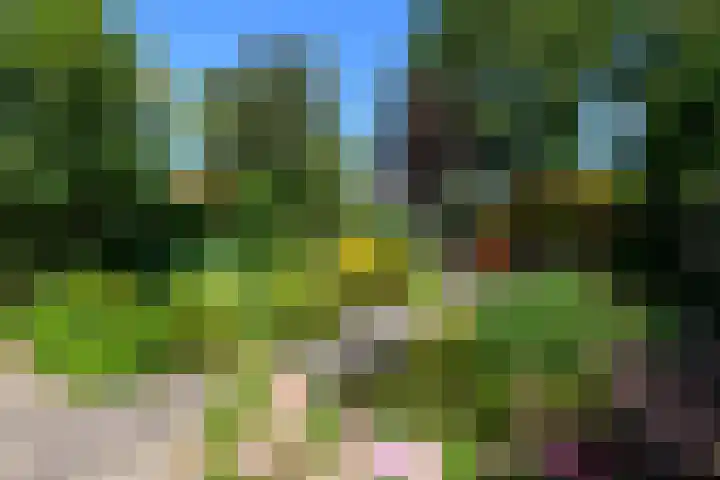 Van Helomalaan 16 Wolvega thumbnail 39