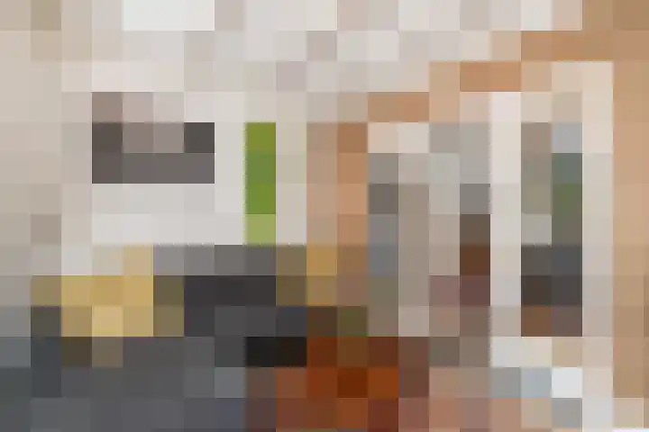 Van Helomalaan 16 Wolvega thumbnail 4