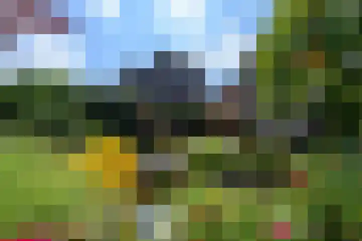 Van Helomalaan 16 Wolvega thumbnail 41