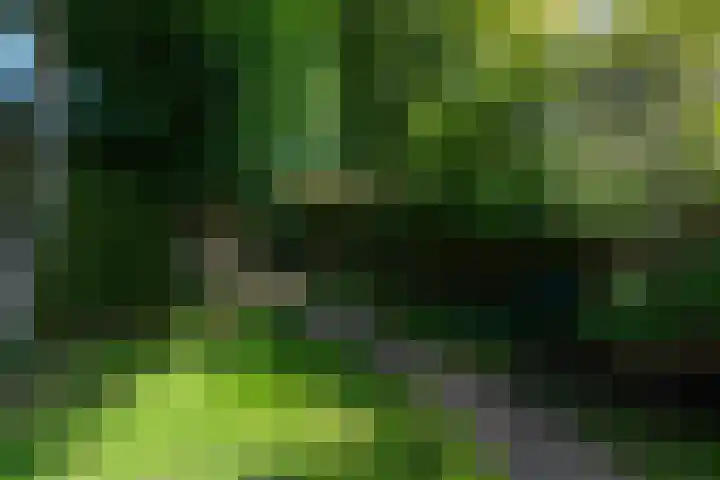 Van Helomalaan 16 Wolvega thumbnail 42
