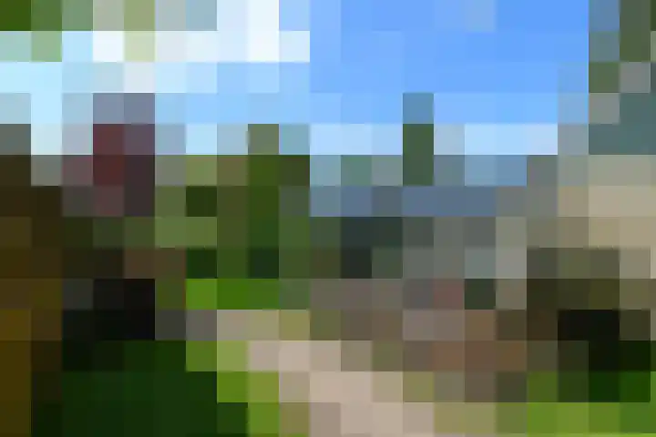Van Helomalaan 16 Wolvega thumbnail 48