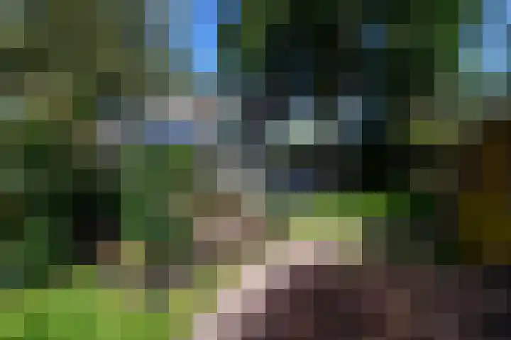 Van Helomalaan 16 Wolvega thumbnail 49