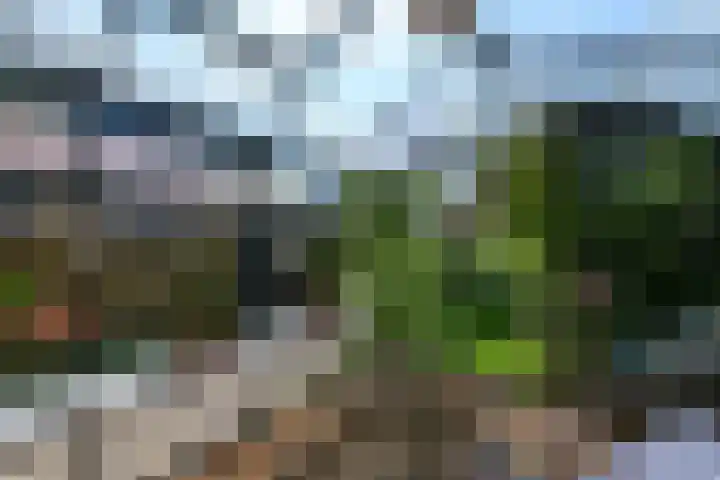 Van Helomalaan 16 Wolvega thumbnail 51