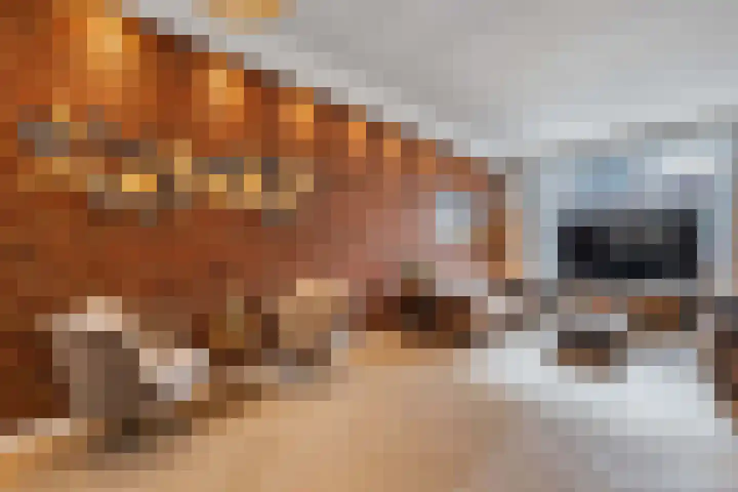 Van Helomalaan 2 Wolvega thumbnail 11