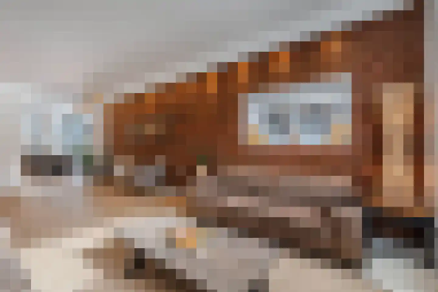 Van Helomalaan 2 Wolvega thumbnail 12