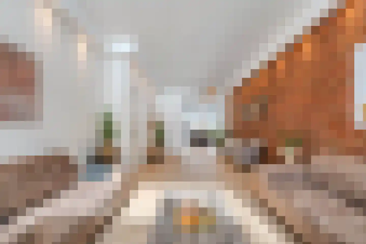 Van Helomalaan 2 Wolvega thumbnail 13