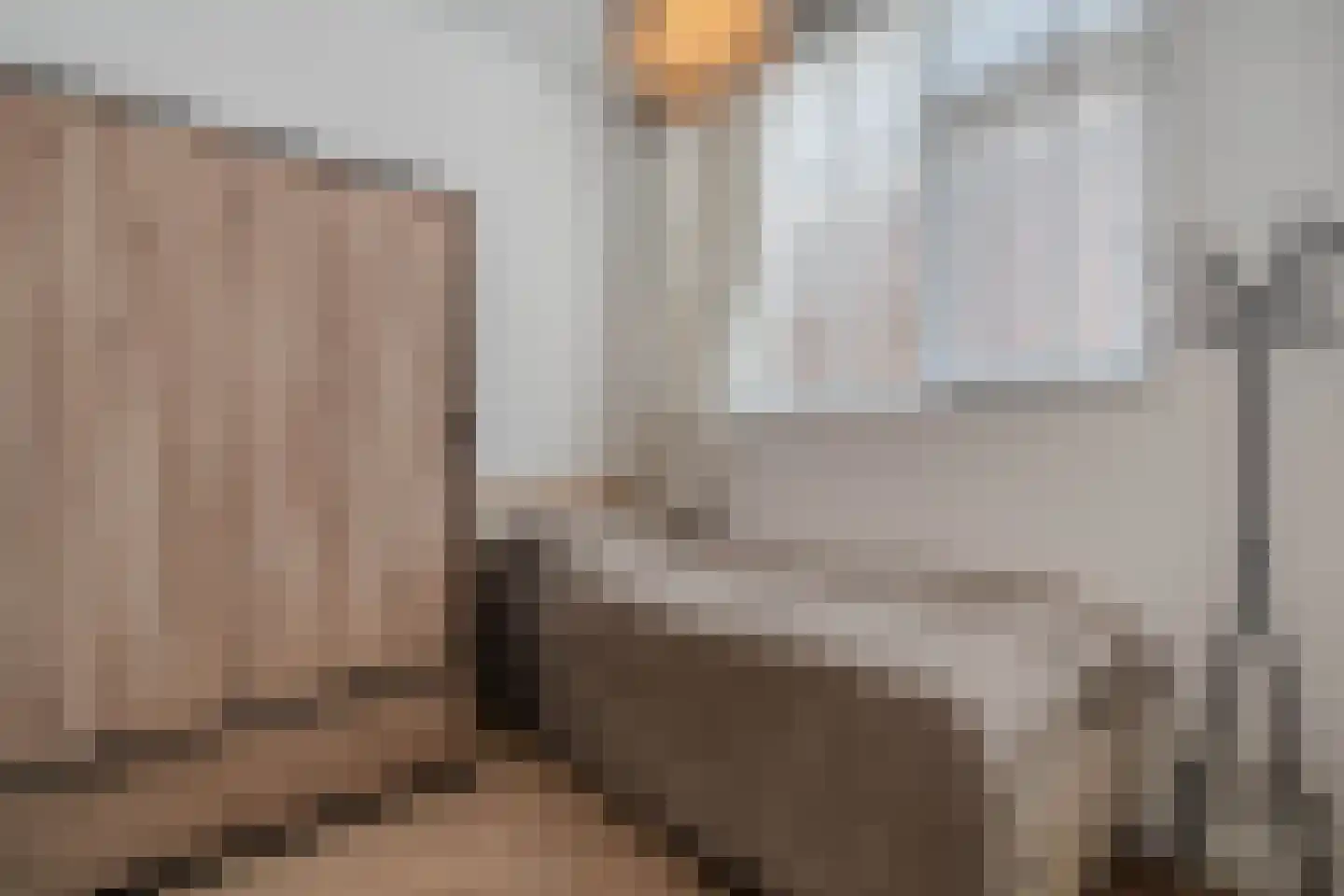 Van Helomalaan 2 Wolvega thumbnail 15