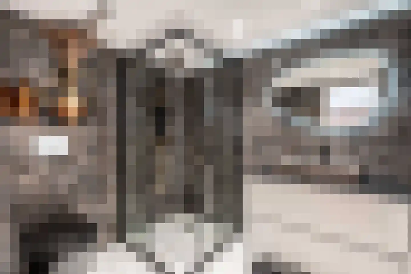 Van Helomalaan 2 Wolvega thumbnail 16