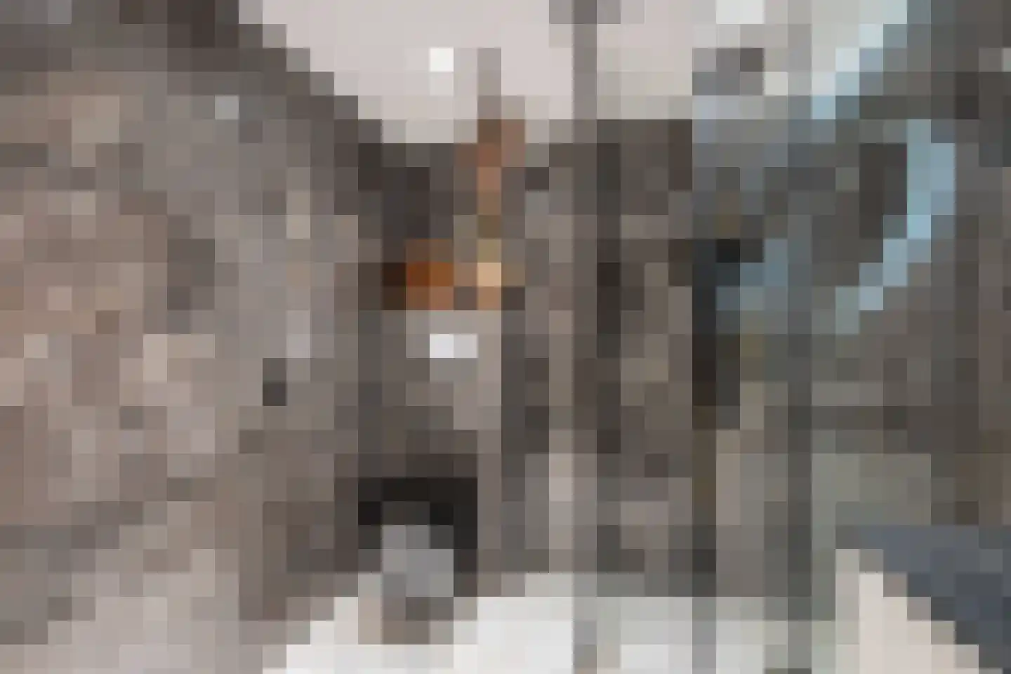Van Helomalaan 2 Wolvega thumbnail 17