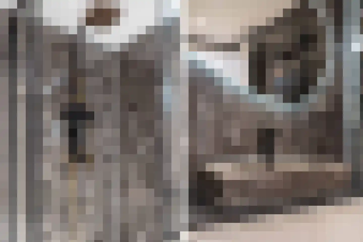 Van Helomalaan 2 Wolvega thumbnail 18