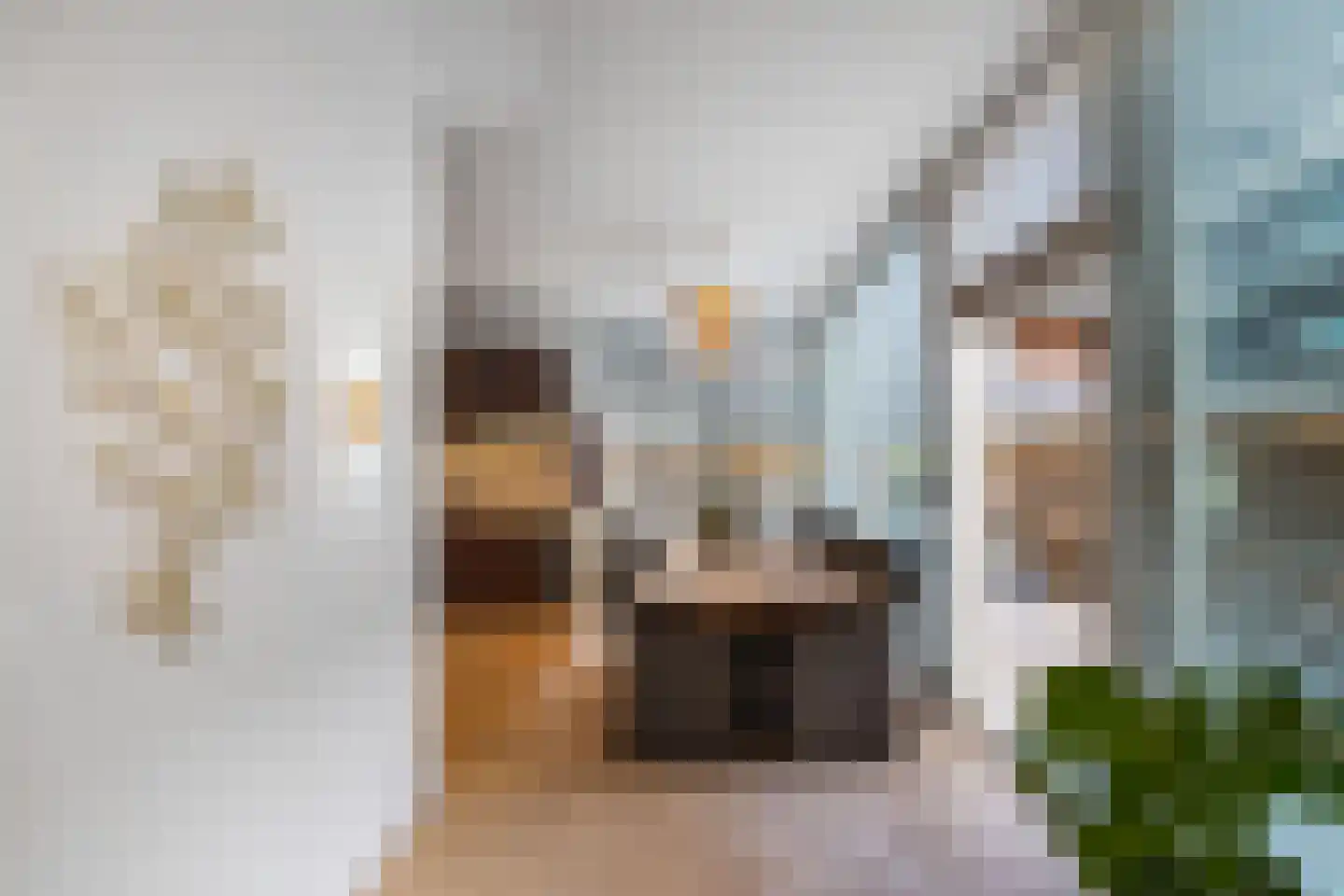 Van Helomalaan 2 Wolvega thumbnail 19