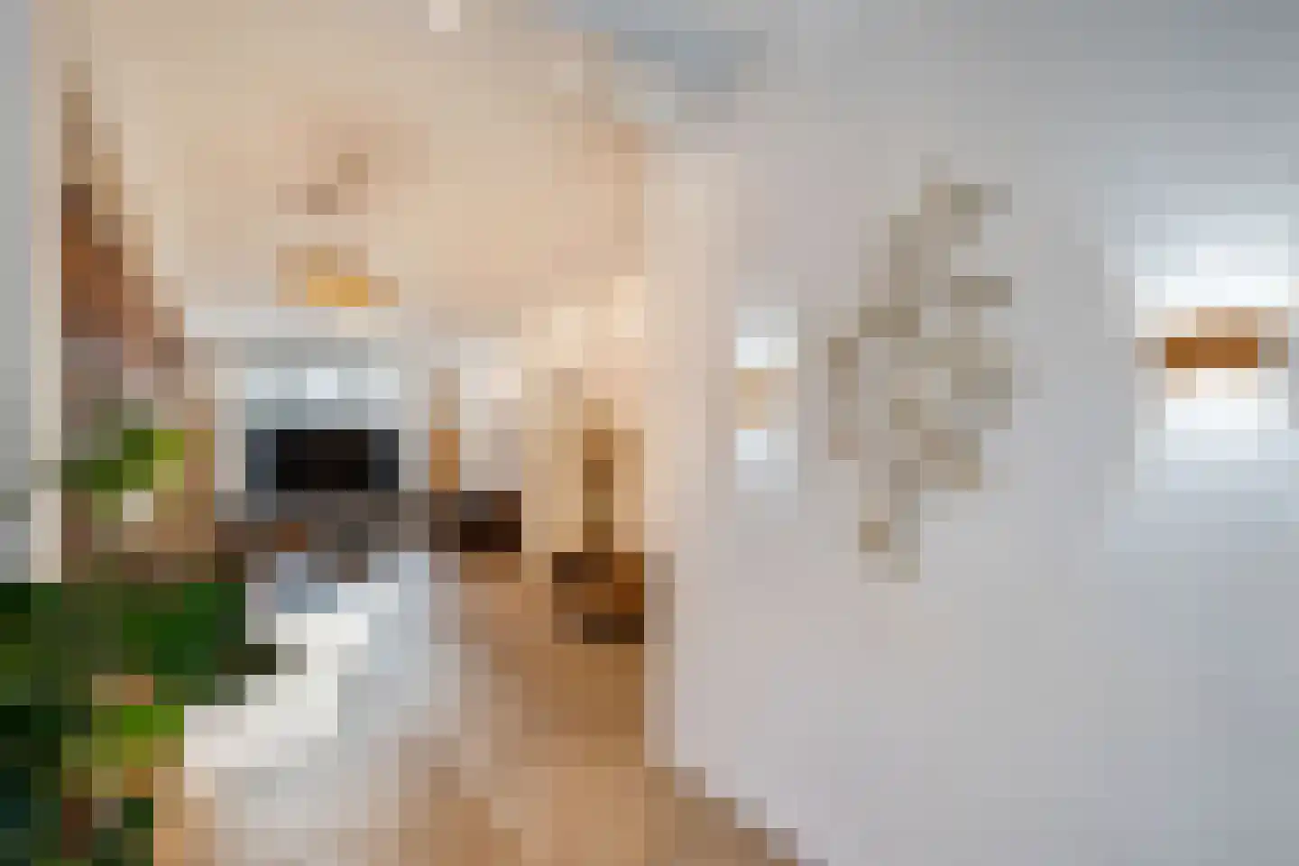 Van Helomalaan 2 Wolvega thumbnail 20