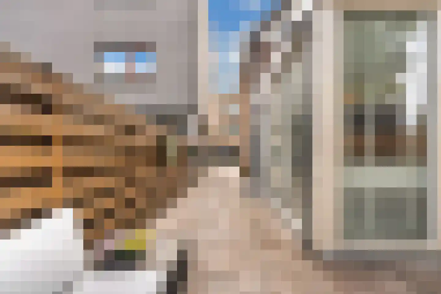 Van Helomalaan 2 Wolvega thumbnail 28