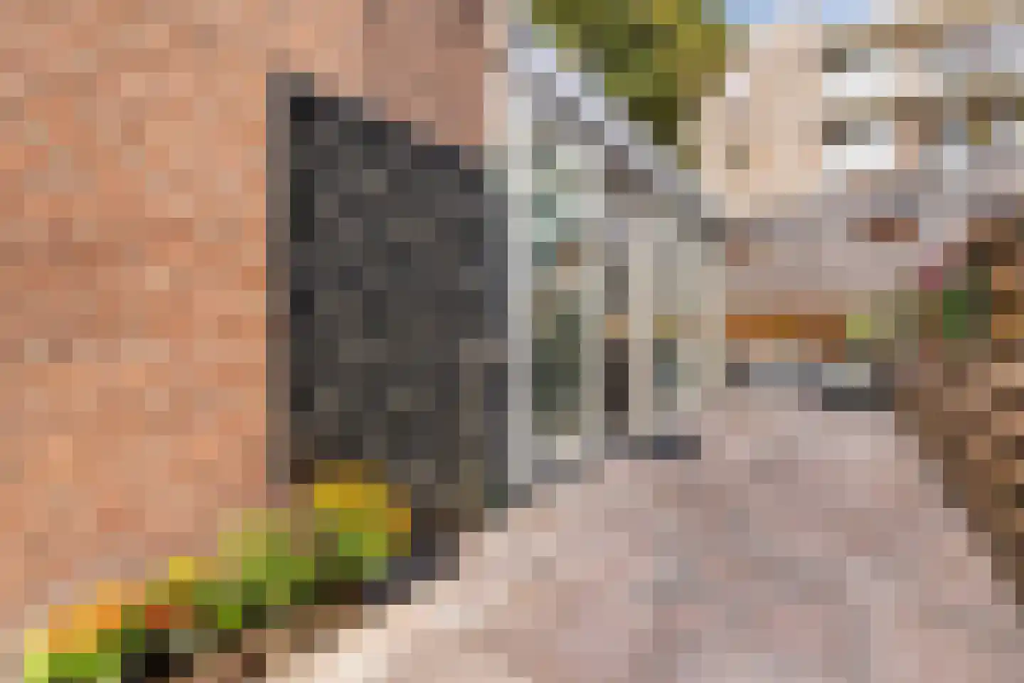 Van Helomalaan 2 Wolvega thumbnail 29